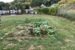 Catskill Housing Authority Garden