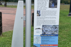 Catskill Housing Authority